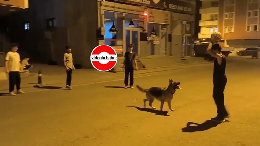 Ağrı'da çocukların oyununa katılan sevimli misafir ilgi odağı oldu