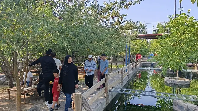 Ağrı'da çöl sıcağında vahayı bulmuş gibi serinliyorlar