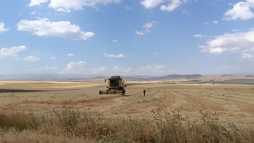 Ağrı'da hasat mesaisi başladı: Bu kurallara uymayan hasat yapamayacak!