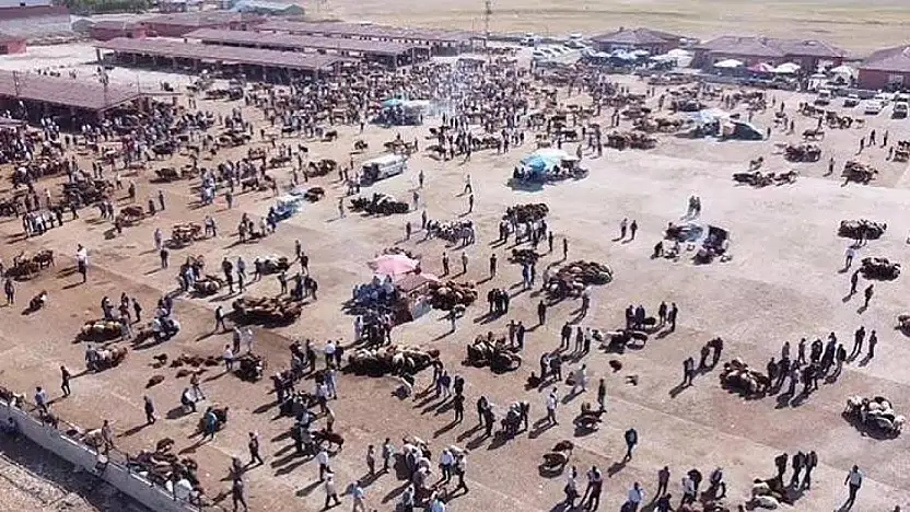 Ağrı'da hayvan yetiştiricilerinin beklediği haber geldi: Hayvan Borsası açılmayacak!