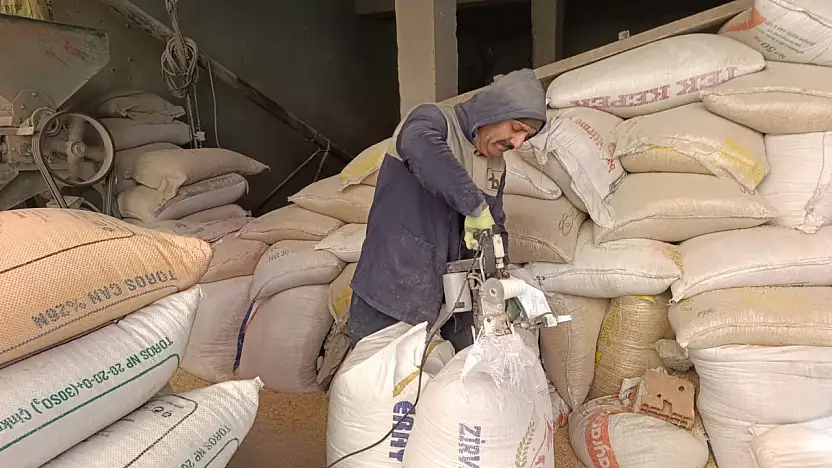 Ağrı'da hayvancılıkta arpa ezmesiyle verim artıyor