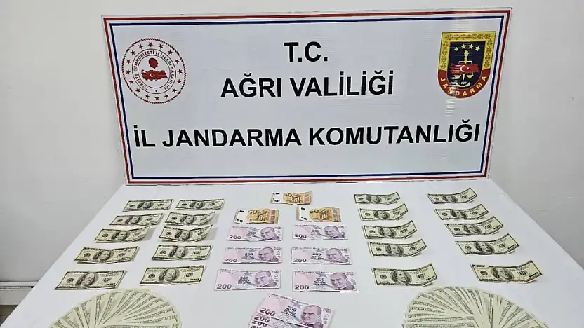 Ağrı'da jandarmadan mali suç operasyonu: Şüpheli gözaltına alındı