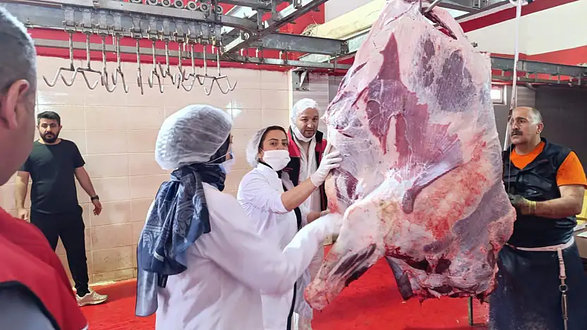Ağrı'da kurban kesim yerleri denetimden geçti