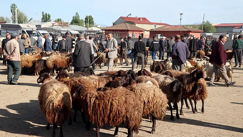 Ağrı'da kurbanlık telaşı başladı
