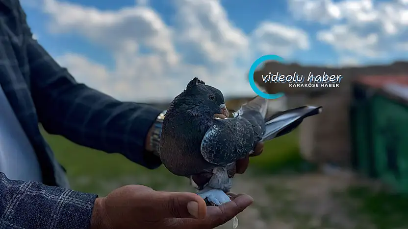 Ağrı'da kuş sevdası nesilden nesile yaşatılıyor
