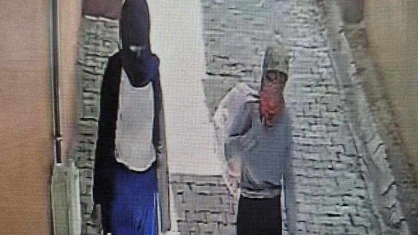 Ağrı'da maske takıp kapıları çaldılar, gerçek amaçları ortaya çıktı