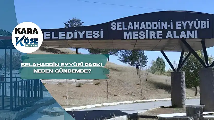 Ağrı'da mesire alanında fuhuş ve alkol tepkisi büyüyor