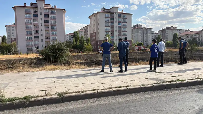 Ağrı'da otluk alanda çıkan yangın mahalleliyi endişelendirdi