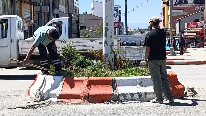Ağrı'da refüjler rengârenk çiçeklerle buluşuyor