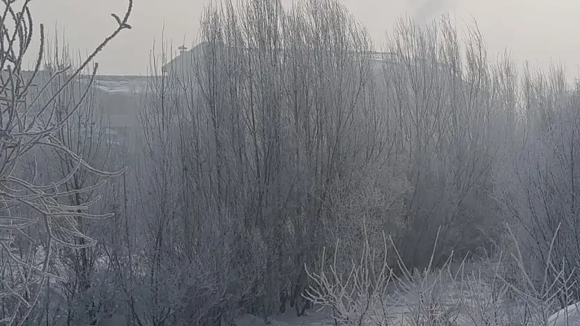 Ağrı'da sabah manzarası: Kar, buz ve sessizlik