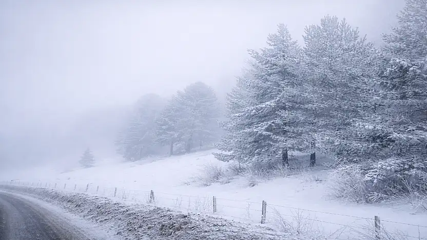 Ağrı'da sabahın ilk ışıklarında sis ve kırağı etkili oldu