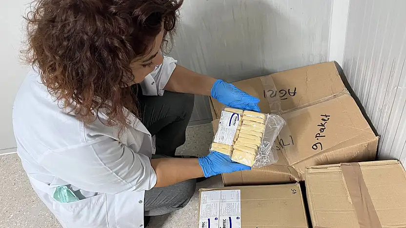 Ağrı'da sahipsiz hayvanlara kuduz aşısı uygulanıyor