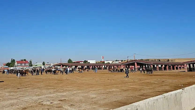 Ağrı'da şap alarmı! Hayvan Borsası 30 gün kapatıldı