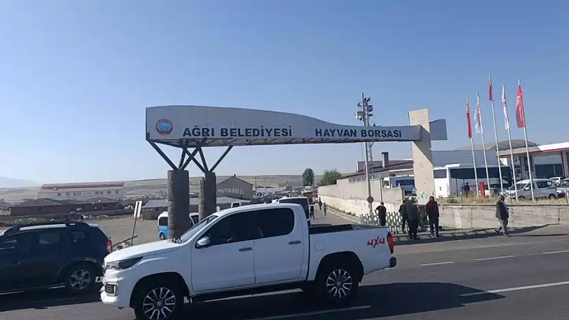 Ağrı'da şap hastalığı sonrası sıkı tedbirler alındı