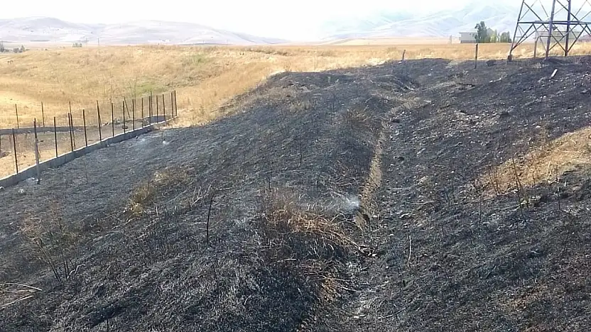 Ağrı'da sarı renkli anızlar siyaha döndü