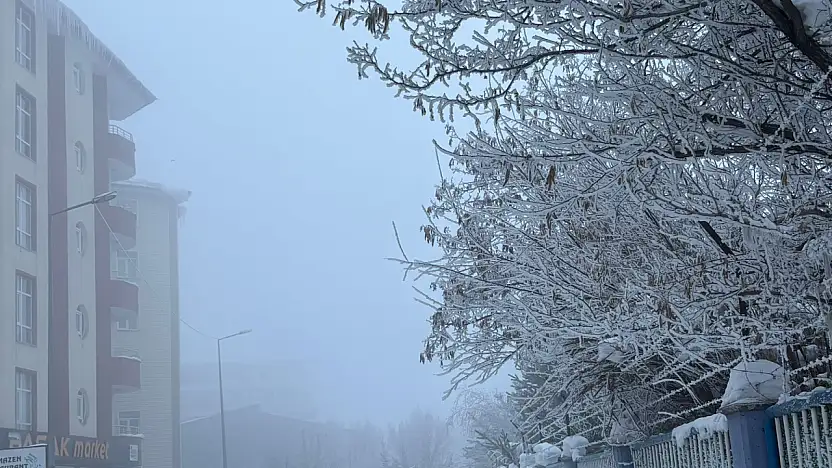 Ağrı'da sisli ve buzlu sabahlar devam ediyor