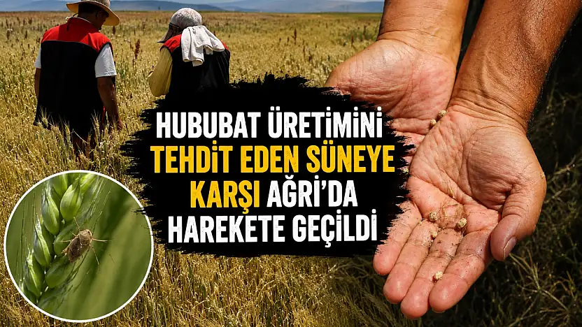Ağrı'da süne zararlısına karşı sahaya çıkacak ekipler eğitildi