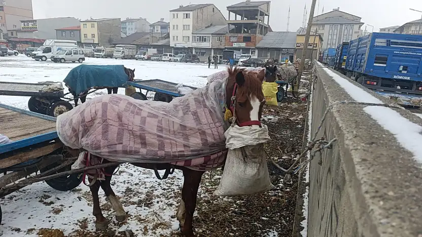 Ağrı'da yaşam herkes için zor