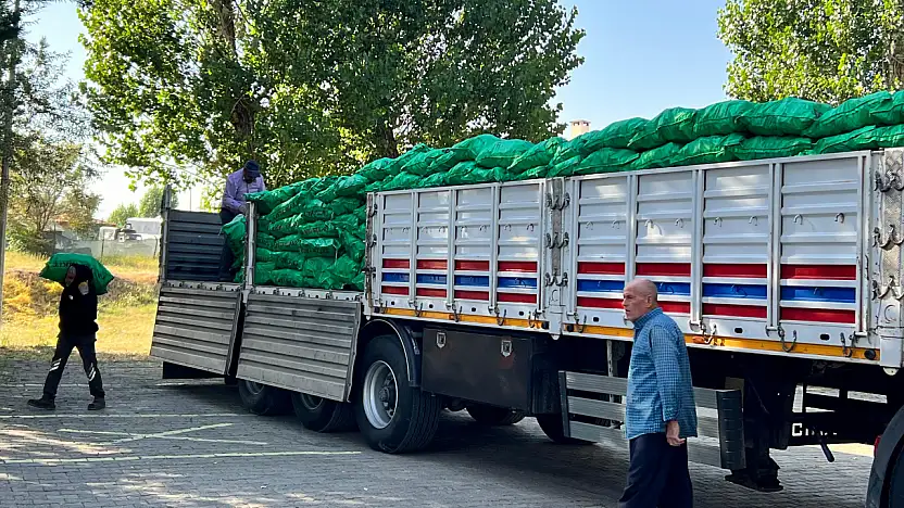Ağrı'da yaz sıcağında kömür fiyatları el yaktı