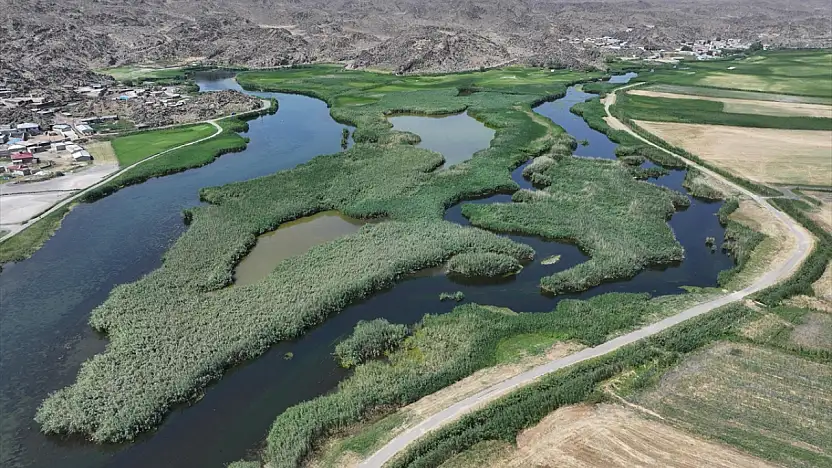 Ağrı Dağı'nın eteklerindeki kuş cenneti turizme açılıyor