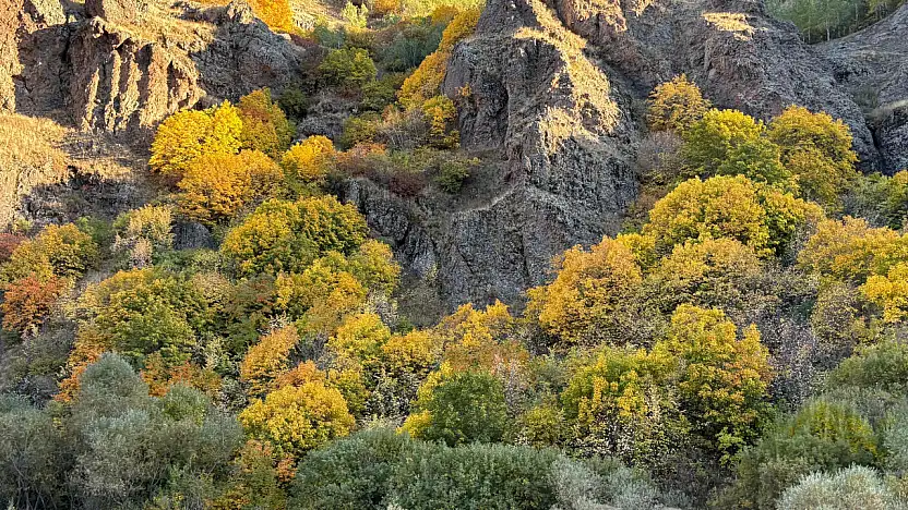 Ağrı-Erzurum kara yolu sonbahar renklerine büründü