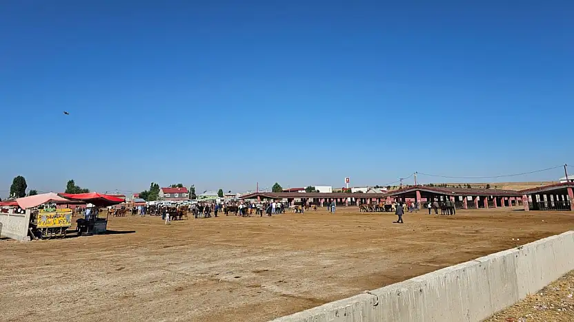 Ağrı Hayvan Borsası'nda şap alarmı! Hayvancılığın başkentinde borsa boşaldı