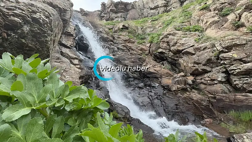 Ağrı-Kağızman yolundaki gizli şelale doğaseverlerin ilgisini çekiyor