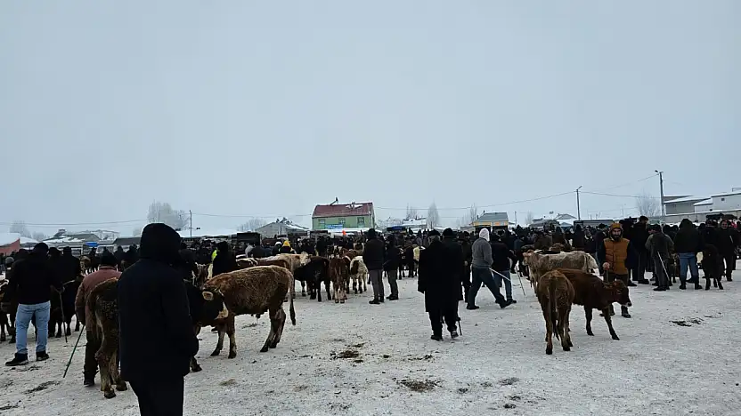 Ağrı'nın bacasız fabrikasında kış mesaisi devam ediyor