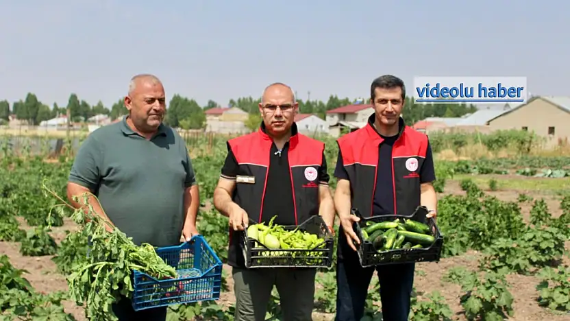 Ağrı'nın bereketli topraklarında hedef 14 bin ton sebze üretimi