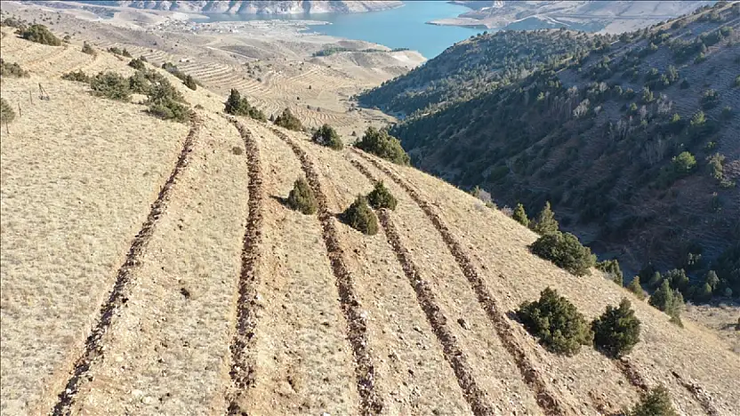 Ağrı'nın da yer aldığı bölgede 9 milyon fidan ve tohum toprakla buluştu