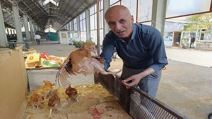 Ağrı pazarında civciv ve ördek yavruları ilgi görüyor