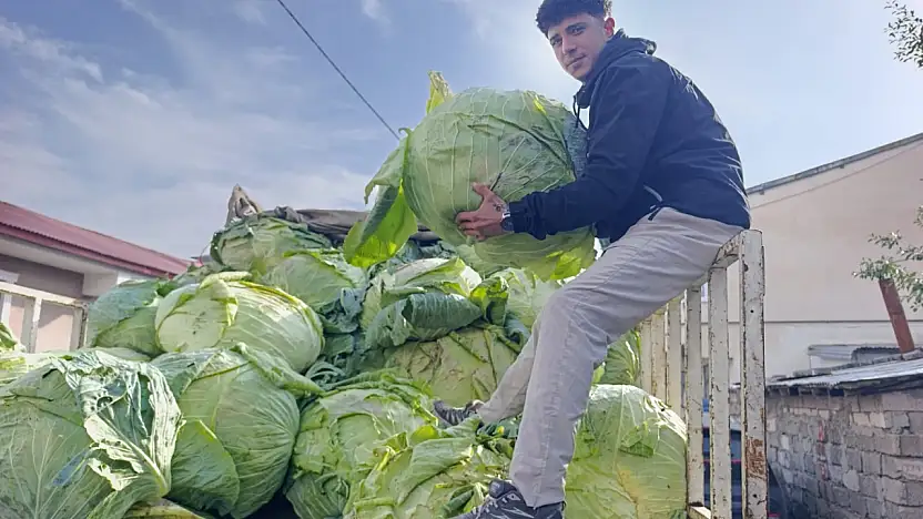 Ağrı sokaklarında Hasankale lahanası satışa çıktı