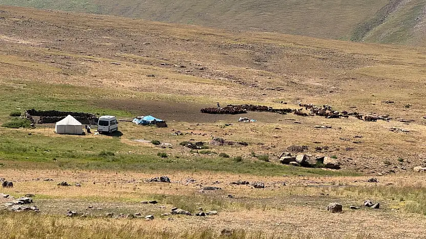 Ağrı tarım ve hayvancılıkta bölgenin lokomotifi