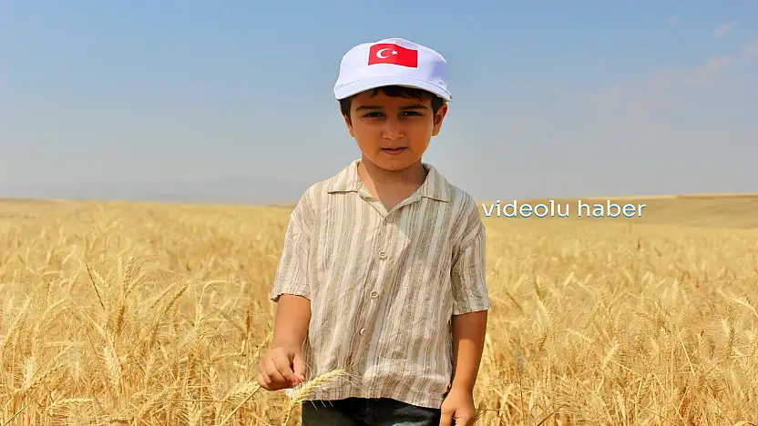 Vali Koç Buğday hasadına katıldı, Ağrı'nın tarımsal gücünü açıkladı