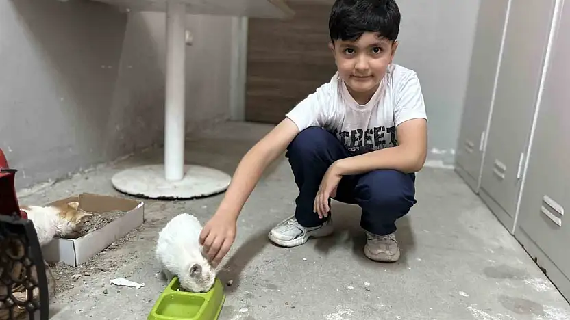 Annesiz kalan yavru kedilere Diyadinli öğrenciler sahip çıktı