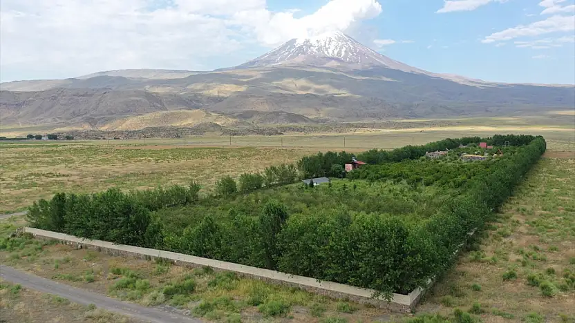 Çorak araziyi cennete çevirdi! Ağrı Dağı eteklerinde görenler hayran kalıyor