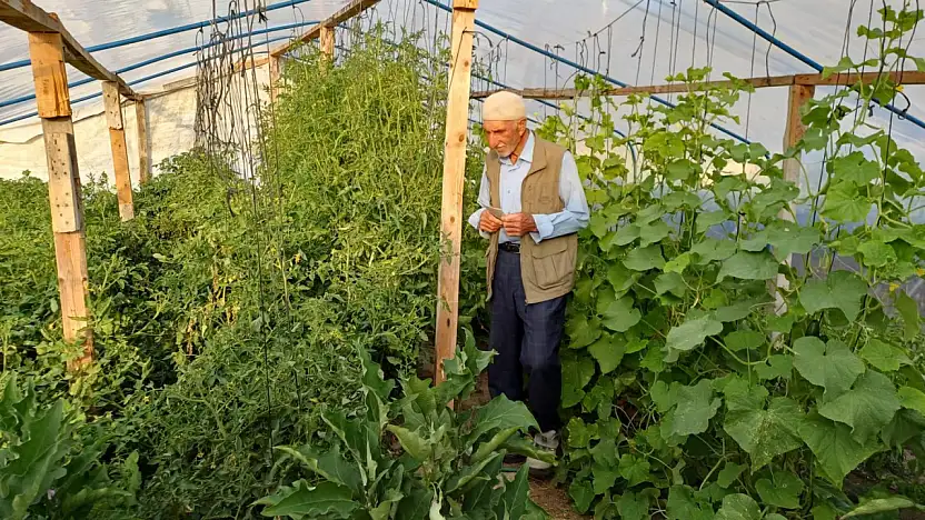Diyadin'de 70  yaşındaki Abdullah Pelit toprağa hayat veriyor