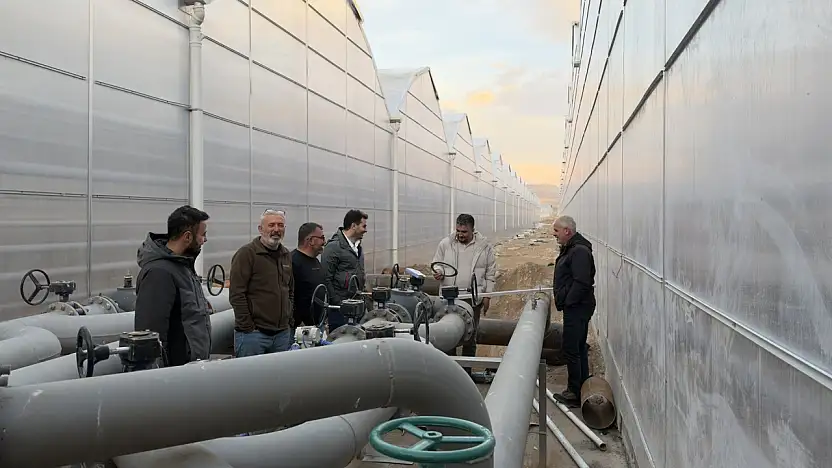 Diyadin'de domates üretimi için dev yatırım tamamlanma aşamasında!