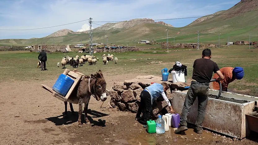 Diyadin'de göçerler yaz yurduna ulaştı
