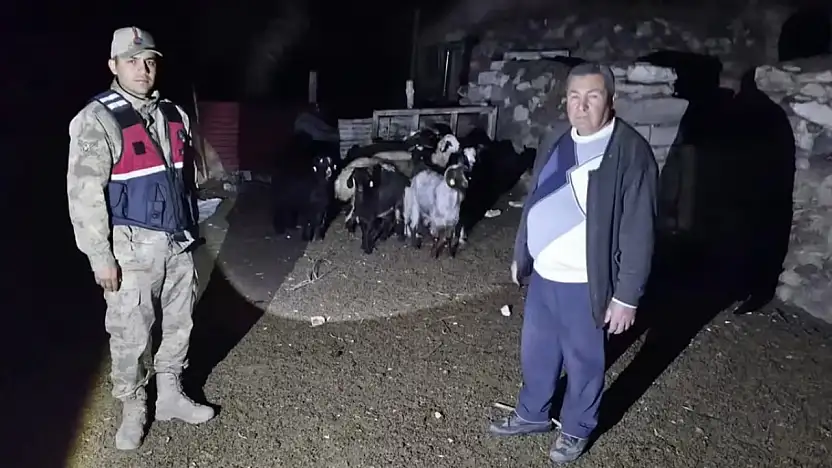 Diyadin'de kaybolan 10 küçükbaş hayvanı jandarma drone ile buldu
