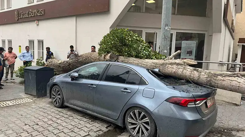 Diyadin'de şiddetli rüzgar park halindeki aracı hurdaya çevirdi