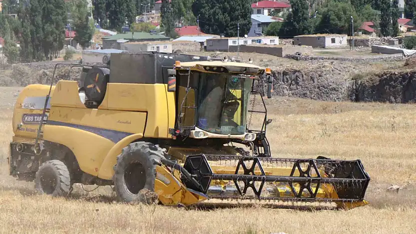 Diyadin'de tarlalarda altın sarısı hasat heyecanı