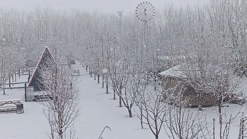Doğubayazıt'ta meyve bahçesi beyaza büründü