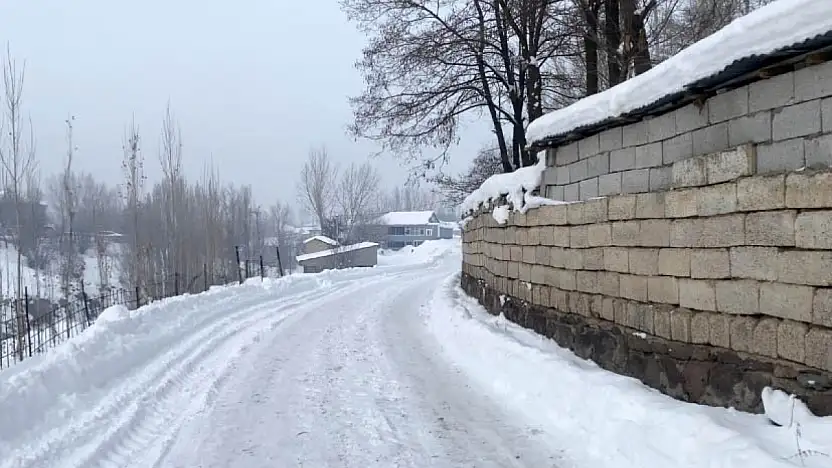 Dondurucu hava Patnos'ta etkisini sürdürüyor