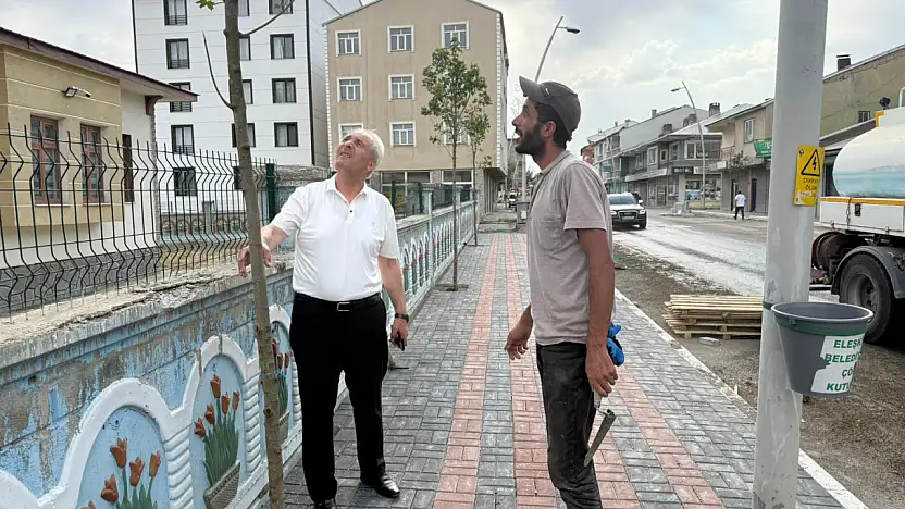 Eleşkirt'te kaldırım ve ağaçlandırma çalışmaları sürüyor