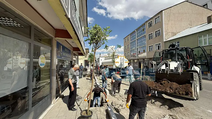 Eleşkirt'te kaldırımlar onarılıyor, yeni fidanlar toprakla buluşuyor