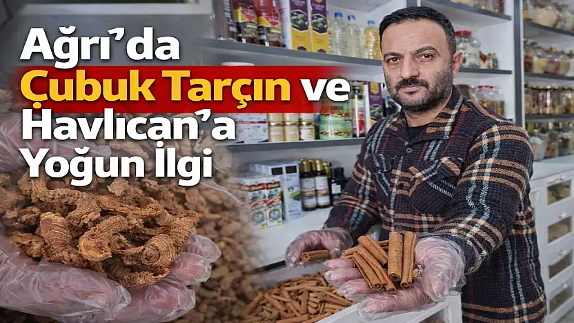 Gribe karşı çözüm aktarlarda aranıyor