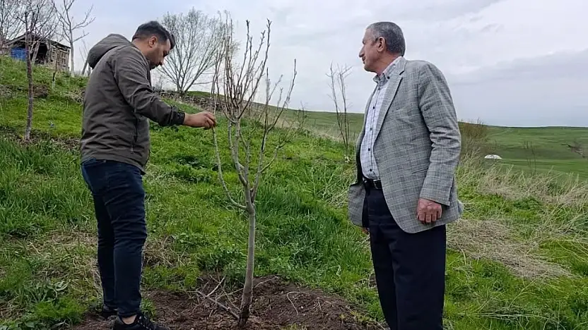 Hamur'da meyve üreticilerine yerinde bakım ve aşılama dersi