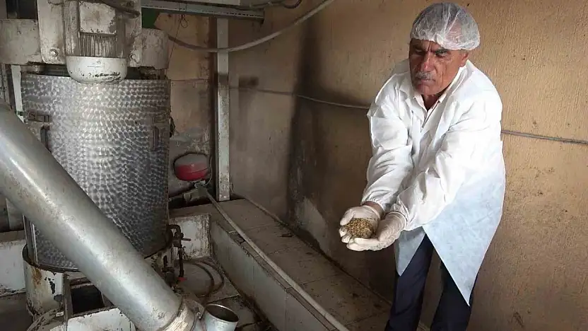 Hibe desteğiyle güçlenen un fabrikası Diyadin'in ekonomik lokomotifi oldu