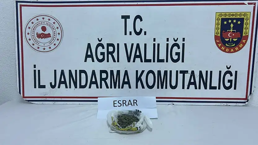 Jandarma'dan Patnos ve Doğubayazıt'ta eş zamanlı uyuşturucu operasyonu